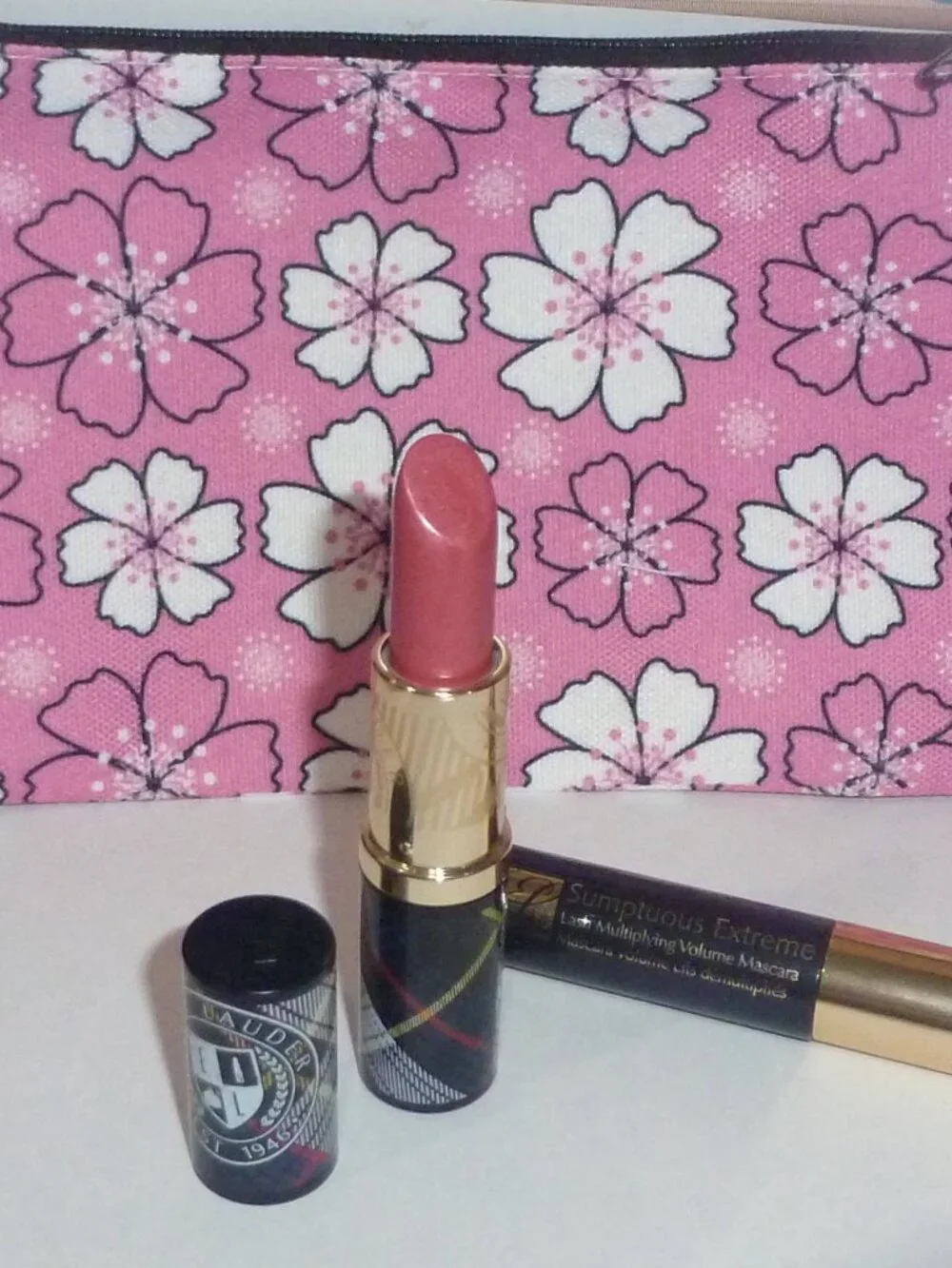 Estee Lauder Gift Set - Lipstick, Marcara & Cosmetic Bag